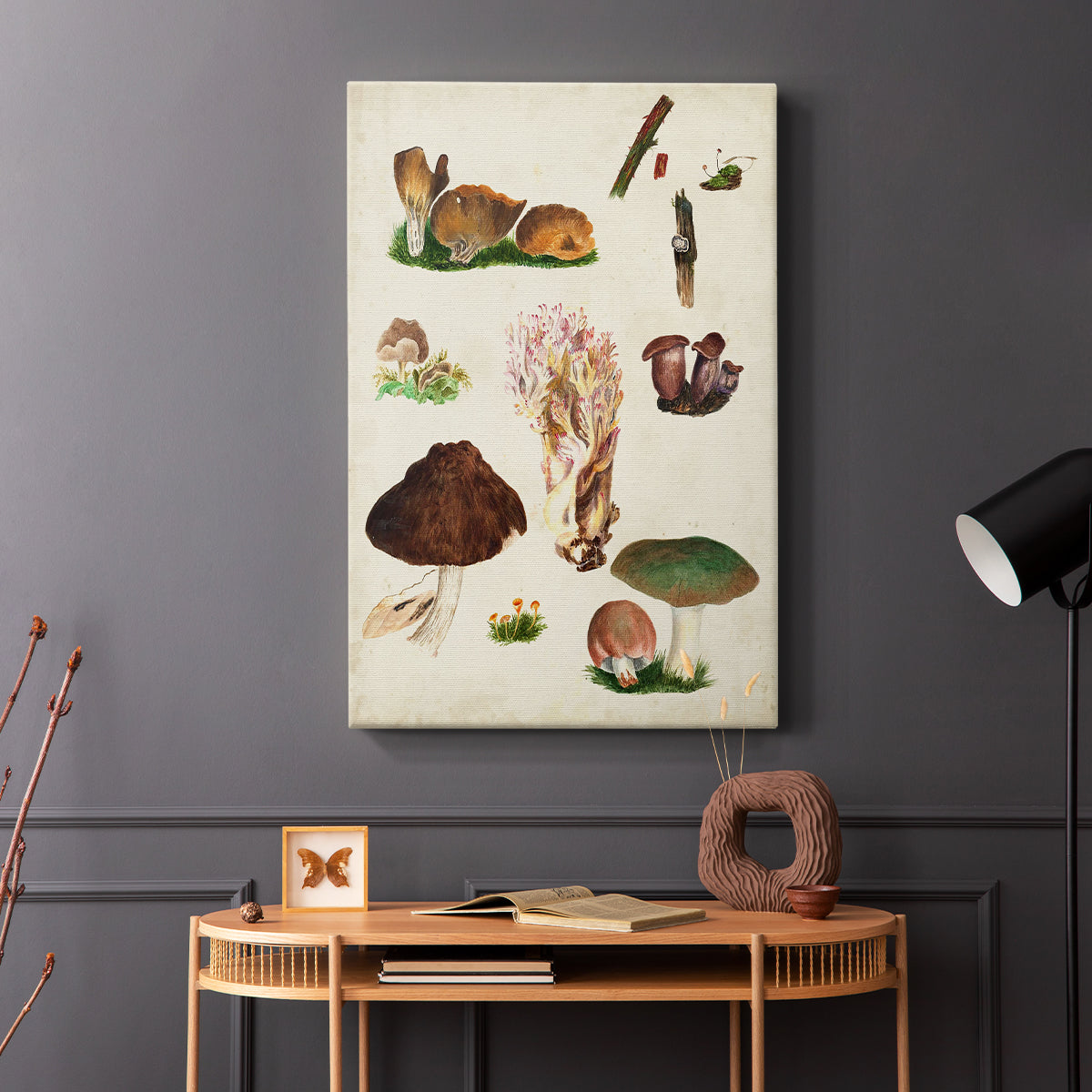 Mushroom Species IX - Canvas Art Print