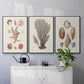 Knorr Shells & Coral I - Framed Premium Gallery Wrapped Canvas L Frame 3 Piece Set - Ready to Hang