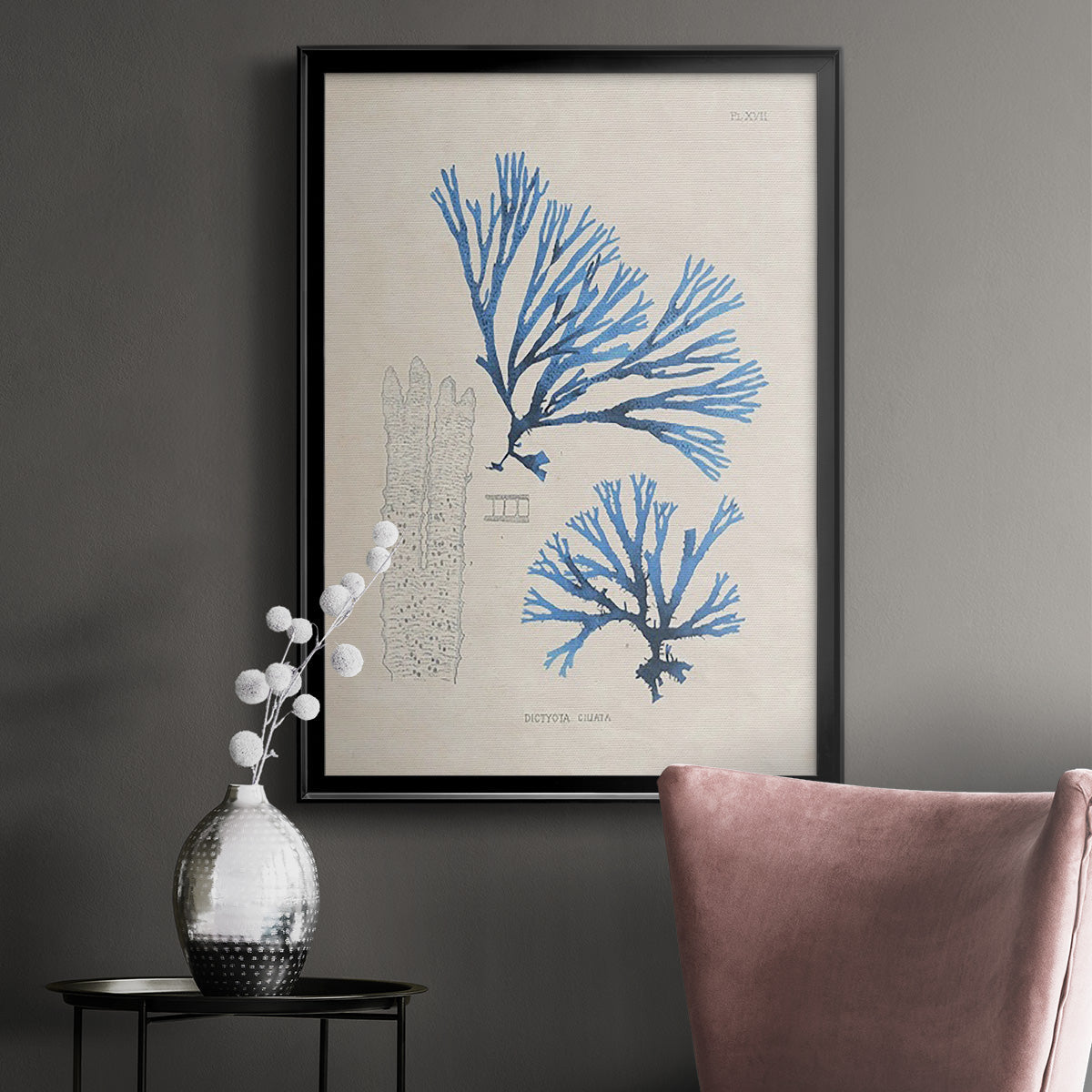 Blue Marine Algae V - Modern Framed Canvas Print