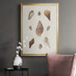 Knorr Shells & Coral IX - Modern Framed Canvas Print
