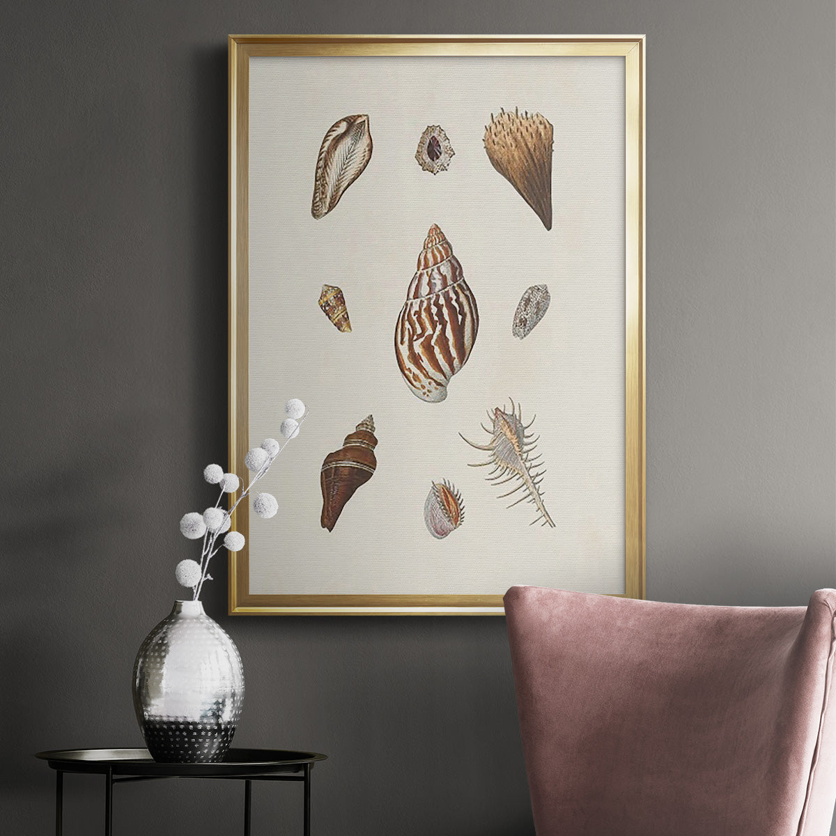 Knorr Shells & Coral IX - Modern Framed Canvas Print