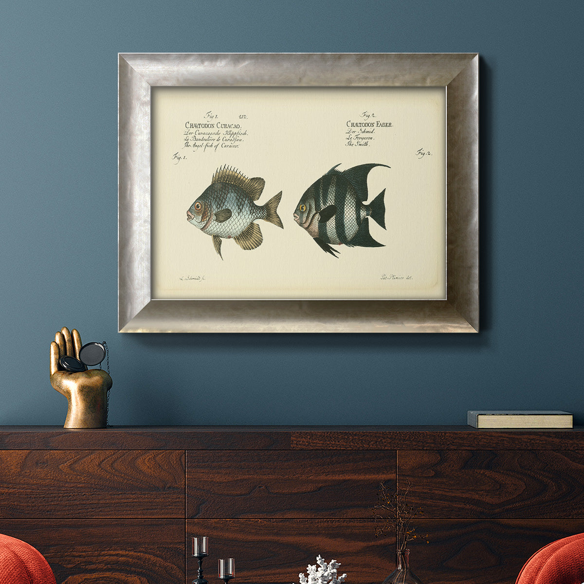 Bloch Antique Fish II Premium Framed Canvas- Ready to Hang