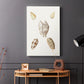 Pastel Knorr Shells VI - Canvas Art Print