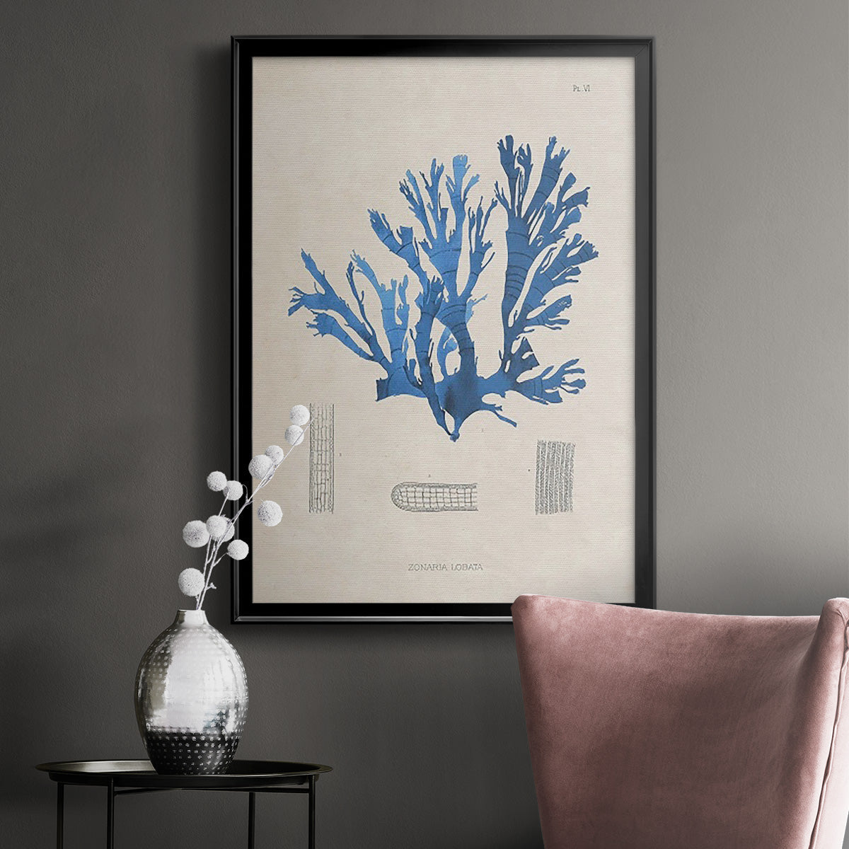 Blue Marine Algae IX -  Framed Canvas Print