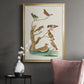 Antique Birds in Nature III - Modern Framed Canvas Print