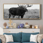 Grand Teton Bull Moose - Floater Framed Canvas Print