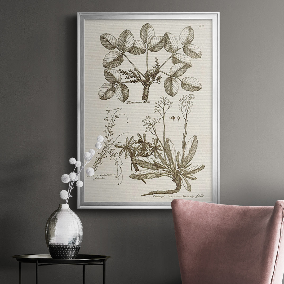 Sepia Botanical Journal VI - Modern Framed Canvas Print