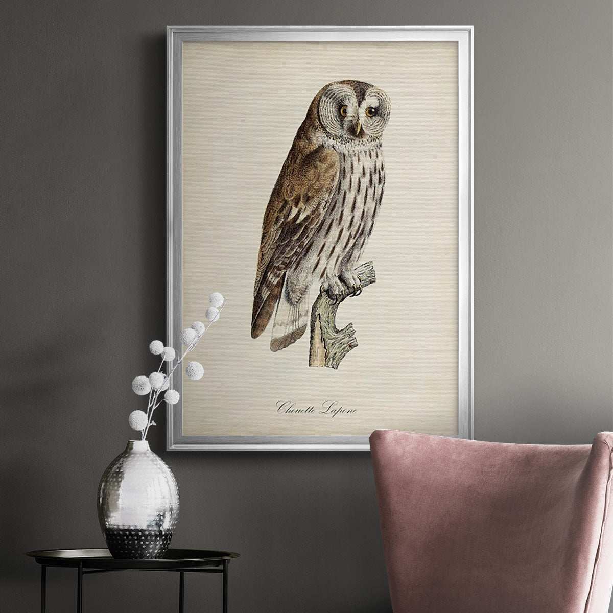 French Owls III - Modern Framed Canvas Print