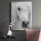 Island Pony I - Modern Framed Canvas Print