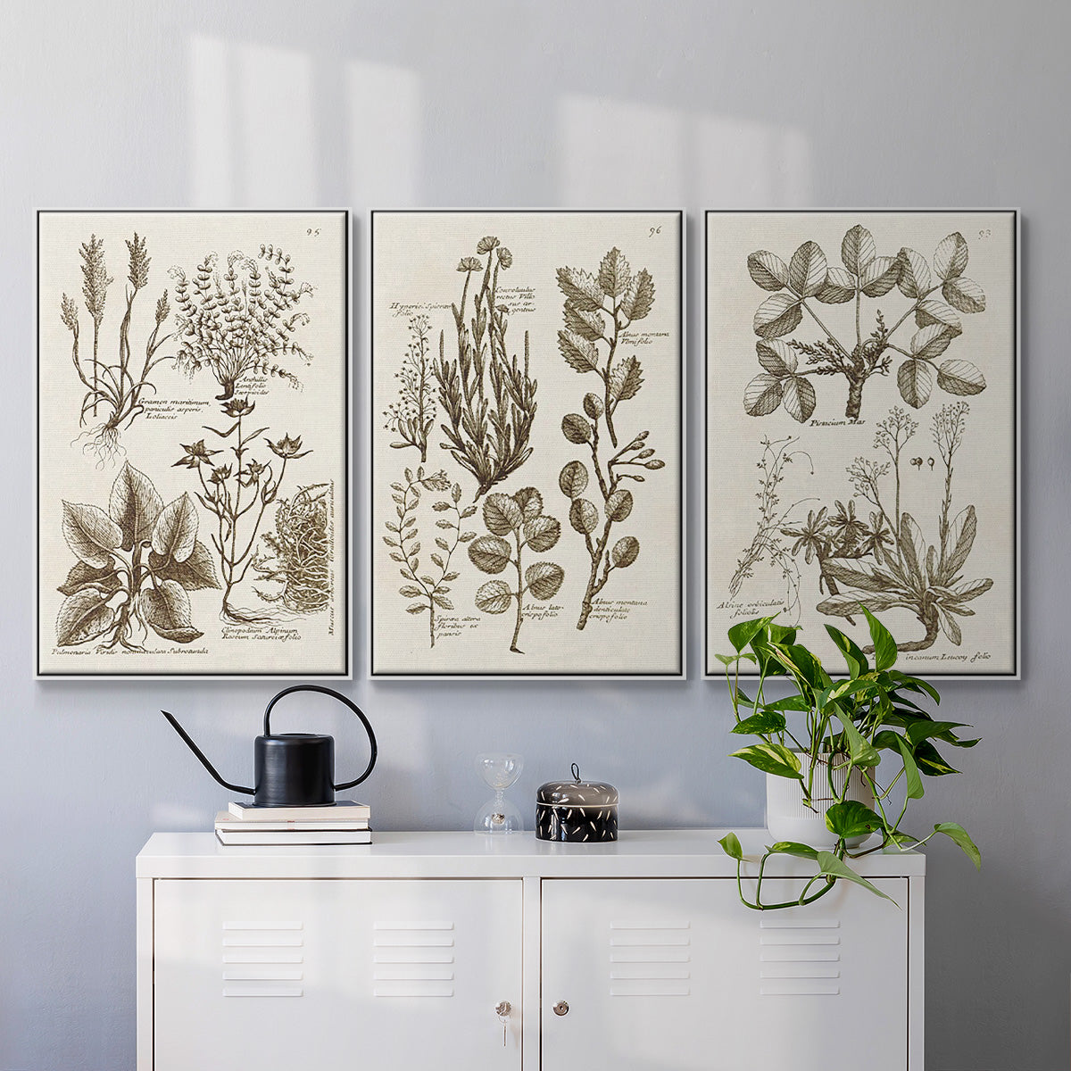 Sepia Botanical Journal VI - Framed Premium Gallery Wrapped Canvas L Frame 3 Piece Set - Ready to Hang