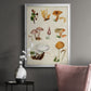 Mushroom Species VI - Modern Framed Canvas Print