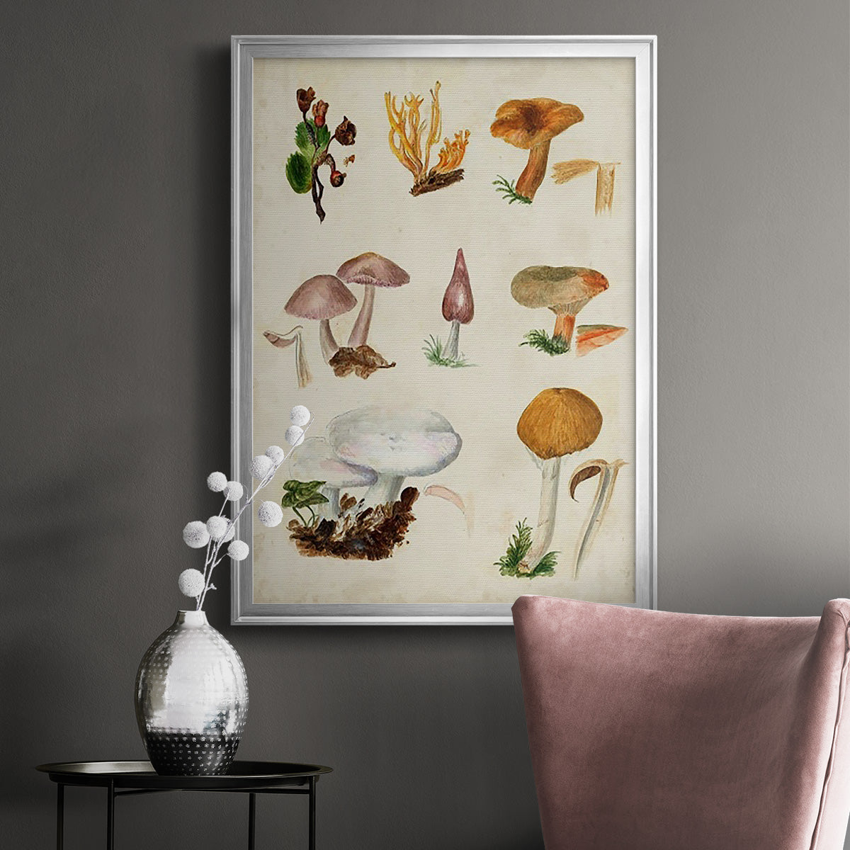 Mushroom Species VI - Modern Framed Canvas Print