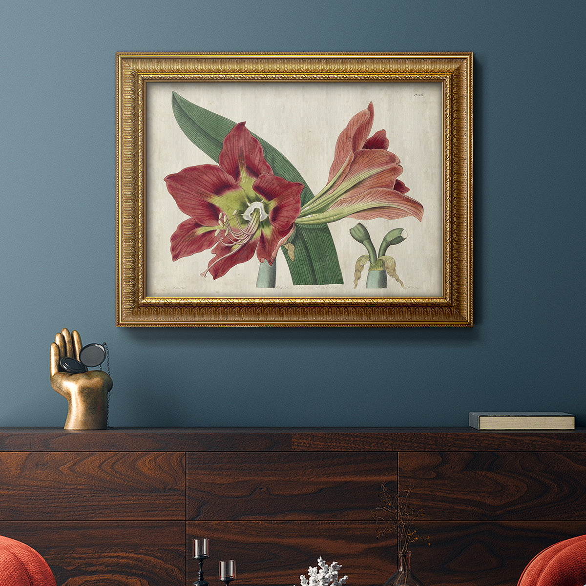 Amaryllis Splendor I Premium Framed Canvas- Ready to Hang