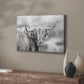 Roaming Isle of Skye - Canvas Art Print