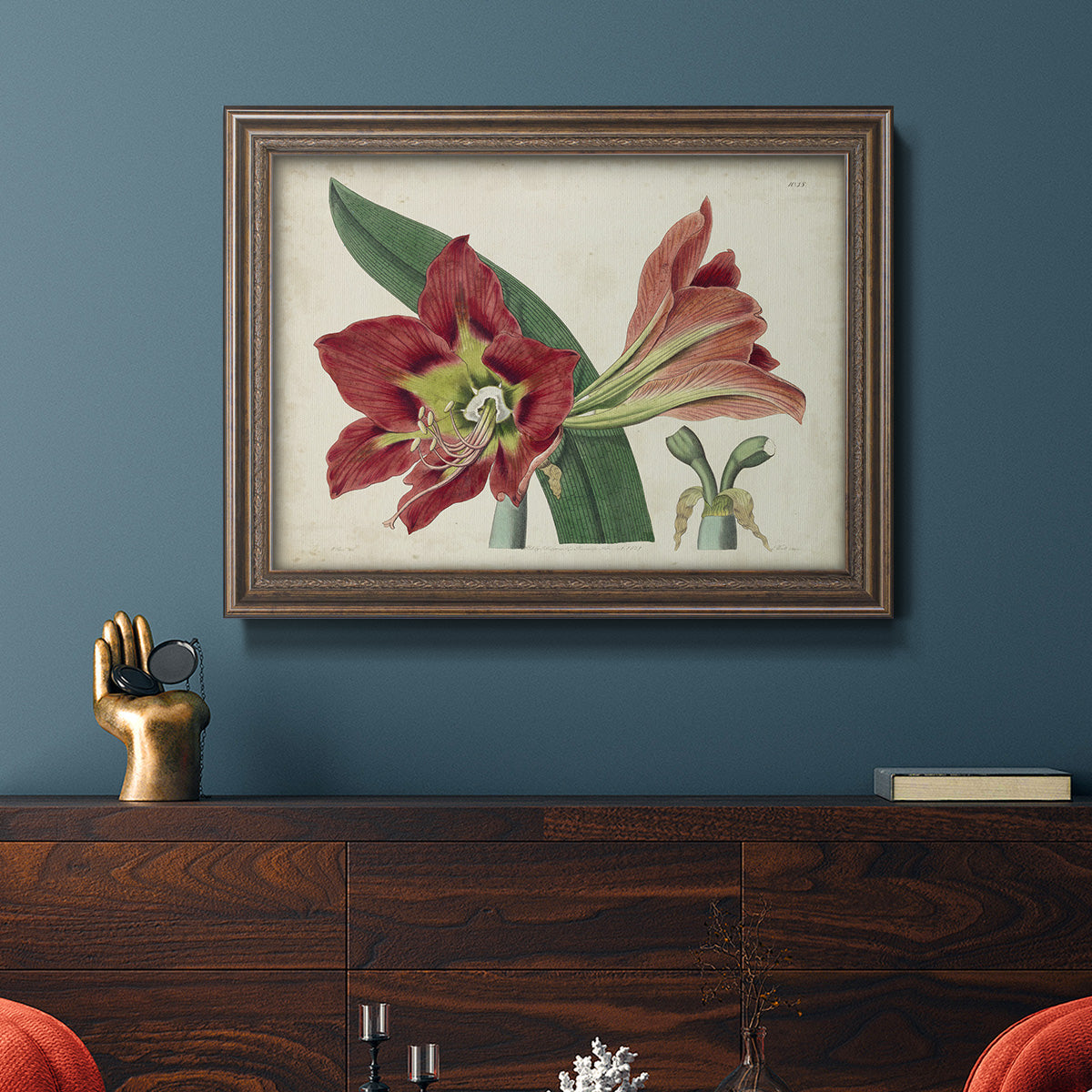 Amaryllis Splendor I Premium Framed Canvas- Ready to Hang