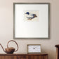 White and Blue Mallard Premium Framed Print Double Matboard