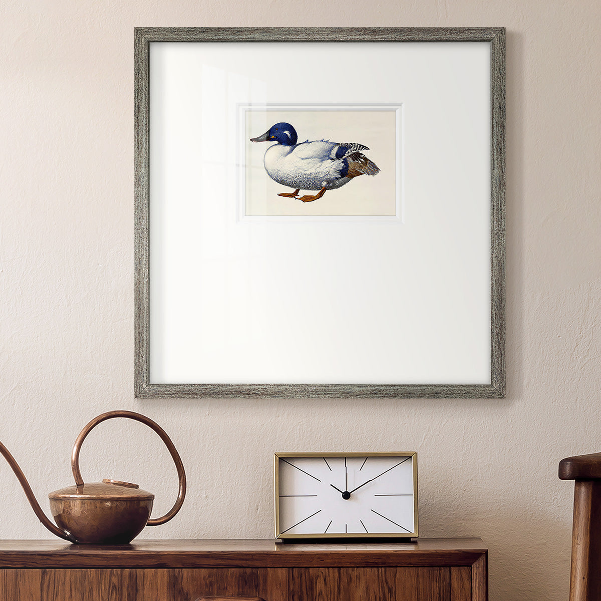 White and Blue Mallard Premium Framed Print Double Matboard