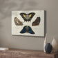 Crackled Butterflies IV - Canvas Art Print