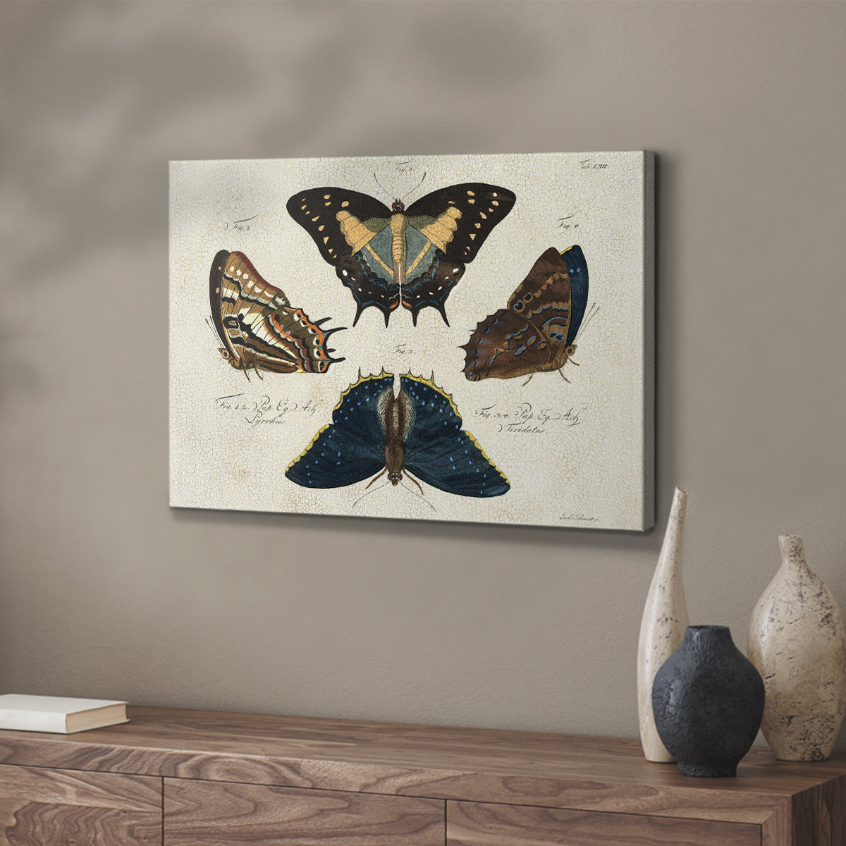 Crackled Butterflies IV - Canvas Art Print