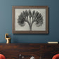 Vintage botanical plant study photograph by Karl Blossfeldt in an ornate traditional bronze frame displayed in a dark-toned interior setting.