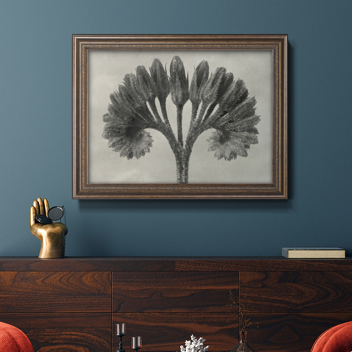 Vintage botanical plant study photograph by Karl Blossfeldt in an ornate traditional bronze frame displayed in a dark-toned interior setting.