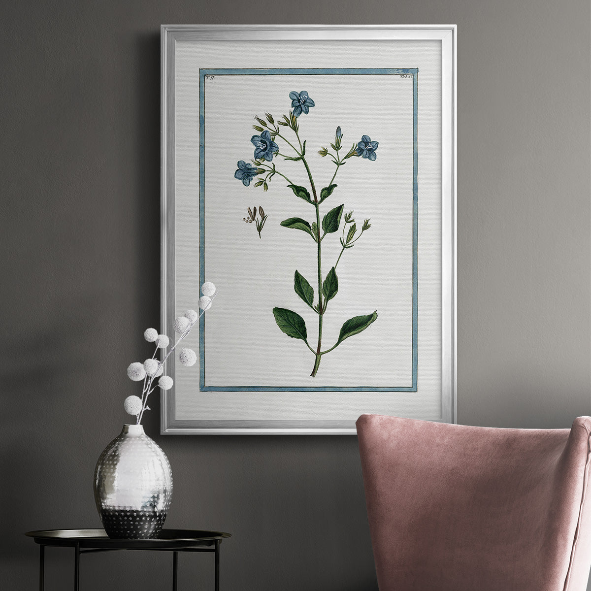 Shabby Chic Botanical II - Modern Framed Canvas Print