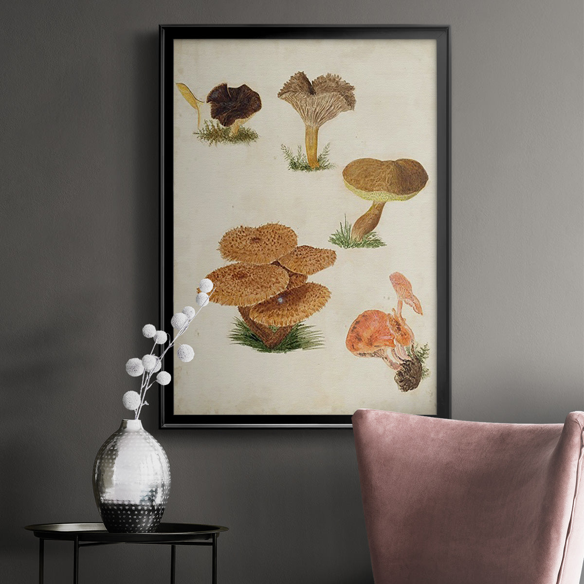Mushroom Species V - Modern Framed Canvas Print