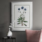 Soft Botanical II - Modern Framed Canvas Print