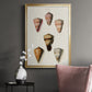 Cone Shell Collection IV - Modern Framed Canvas Print