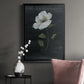Country Botanical II - Modern Framed Canvas Print