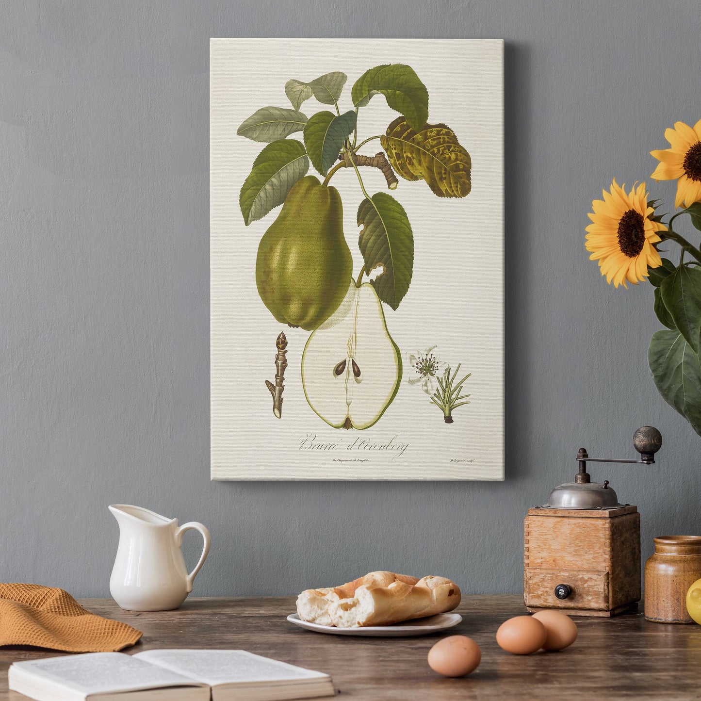 Vintage Pears IV Premium Gallery Wrapped Canvas - Ready to Hang