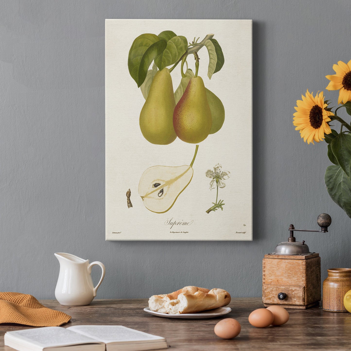 Vintage Pears V Premium Gallery Wrapped Canvas - Ready to Hang