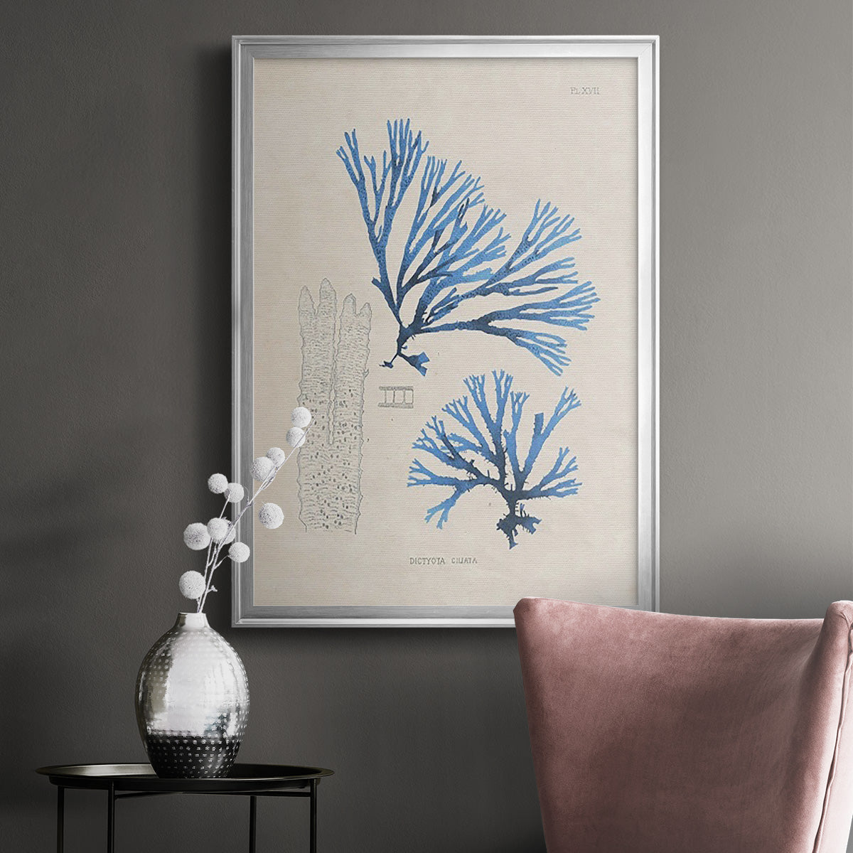 Blue Marine Algae V - Modern Framed Canvas Print