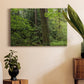 Calm of the Forest Premium Gallery Wrapped Canvas - Ready to Hang