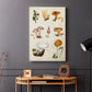 Mushroom Species VI - Canvas Art Print