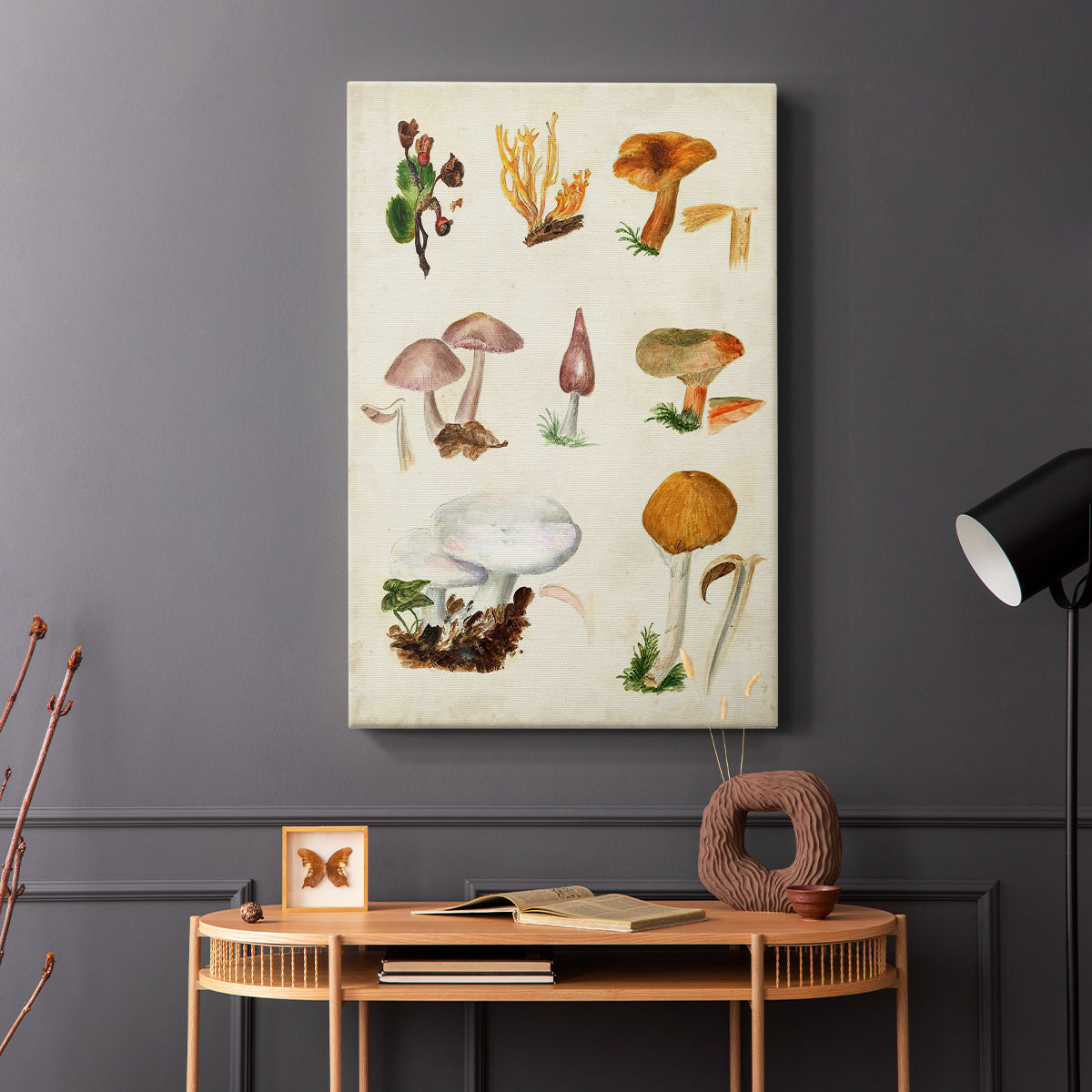 Mushroom Species VI - Canvas Art Print