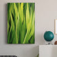 Blades of Grass II Premium Gallery Wrapped Canvas - Ready to Hang