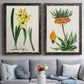 Set of two black barnwood framed canvas prints depicting paired antique botanical plate illustrations with detailed blossoms, leaves, roots, and archival cream grounds above a sofa in a contemporary living room.