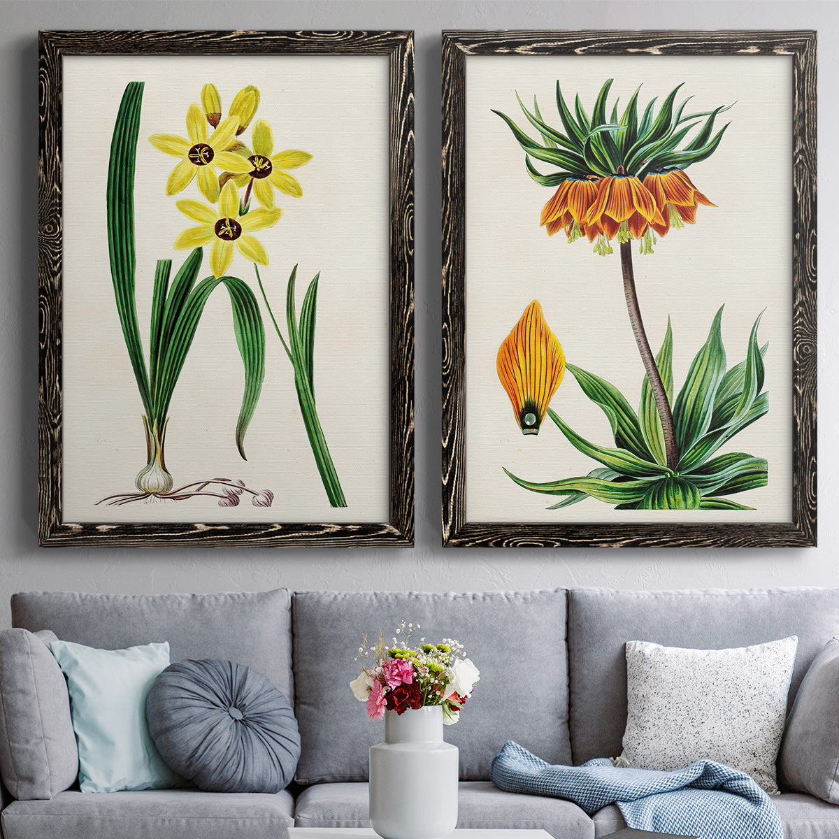 Set of two black barnwood framed canvas prints depicting paired antique botanical plate illustrations with detailed blossoms, leaves, roots, and archival cream grounds above a sofa in a contemporary living room.