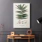 Botanical Society Ferns XII - Canvas Art Print