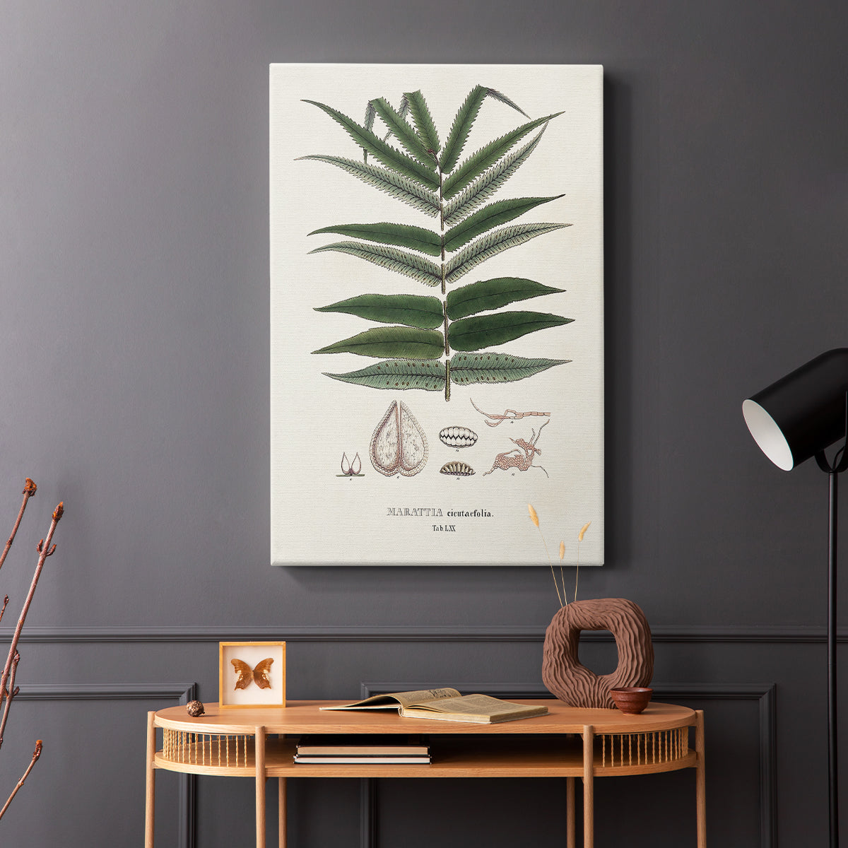 Botanical Society Ferns XII - Canvas Art Print