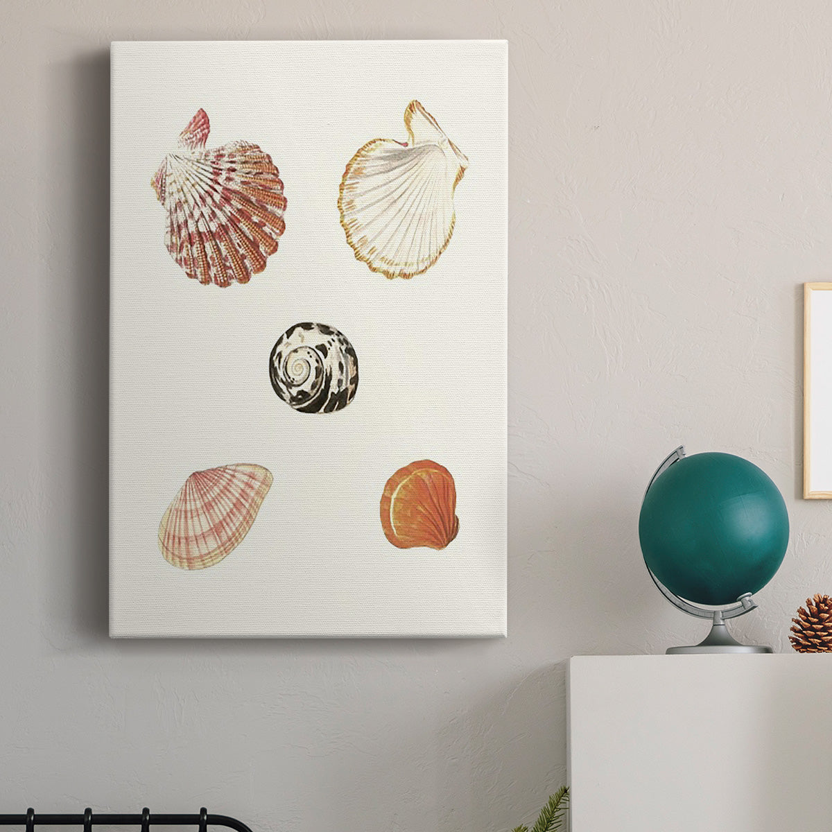 Pastel Knorr Shells VIII - Canvas Art Print