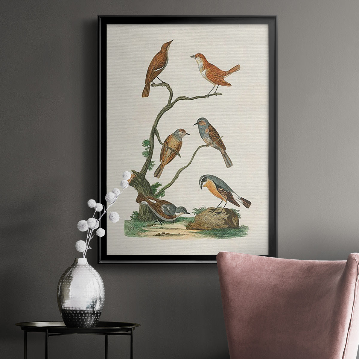 Antique Birds in Nature IV - Modern Framed Canvas Print