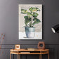 Potted Houseplant II - Canvas Art Print