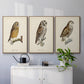 French Owls I - Framed Premium Gallery Wrapped Canvas L Frame 3 Piece Set - Ready to Hang