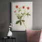 Flowers of the Seasons VIII - Modern Framed Canvas Print