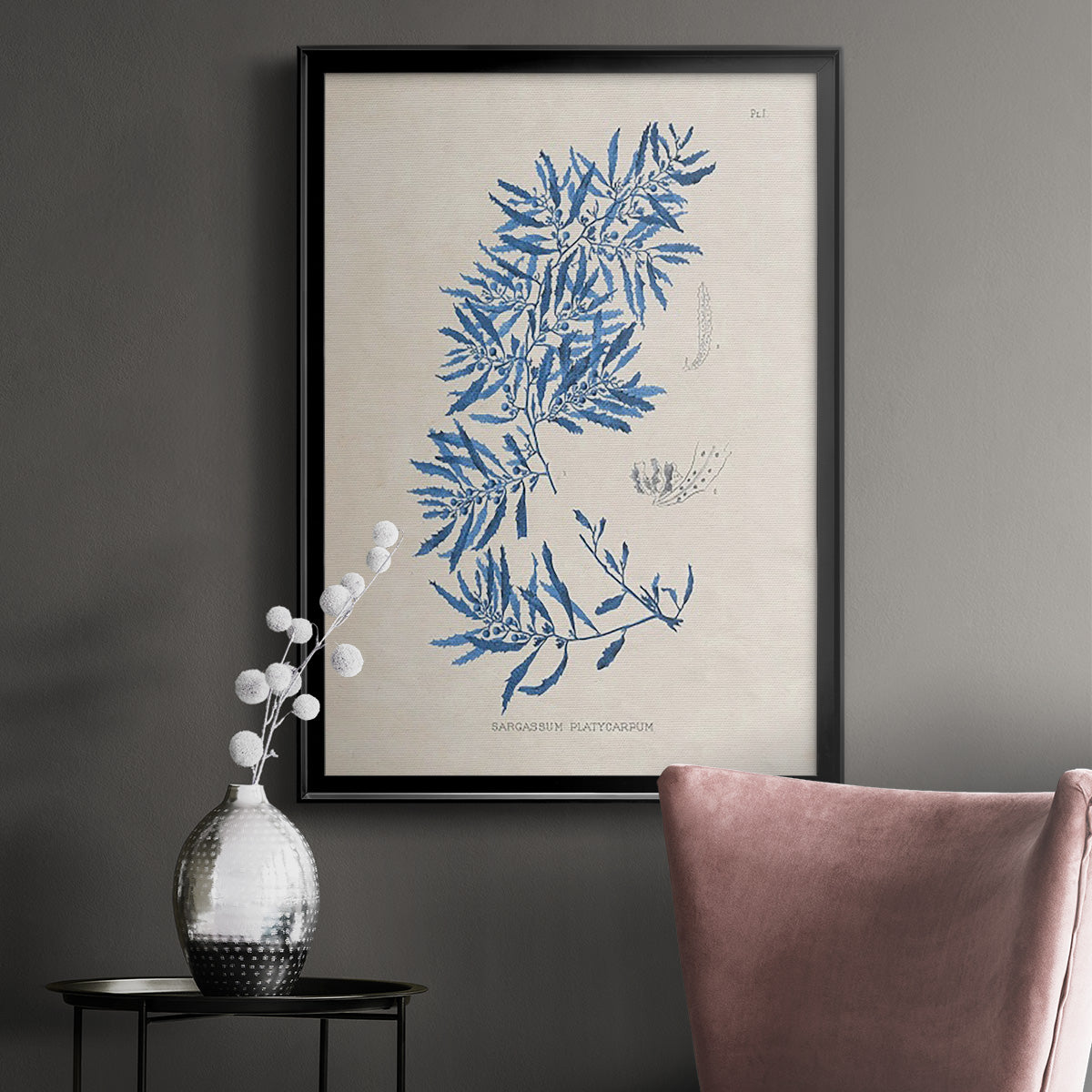 Blue Marine Algae III - Modern Framed Canvas Print