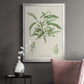 Antique Almond Botanical III - Modern Framed Canvas Print