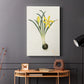 Flowers of the Seasons VI - Canvas Art Print