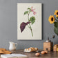 Pretty Pink Botanicals VI Premium Gallery Wrapped Canvas - Ready to Hang